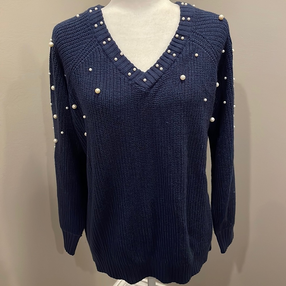 Dani Simone Beaded Sweater XL